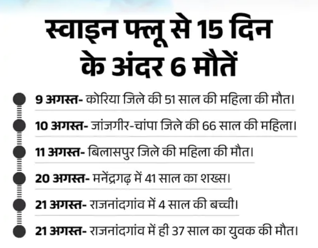 CG News : छत्तीसगढ़ में स्वाइन फ्लू अलर्ट: वायरोलॉजी लैब्स को अपग्रेड करने के निर्देश; 23 एक्टिव केस और 6 मौतें दर्ज